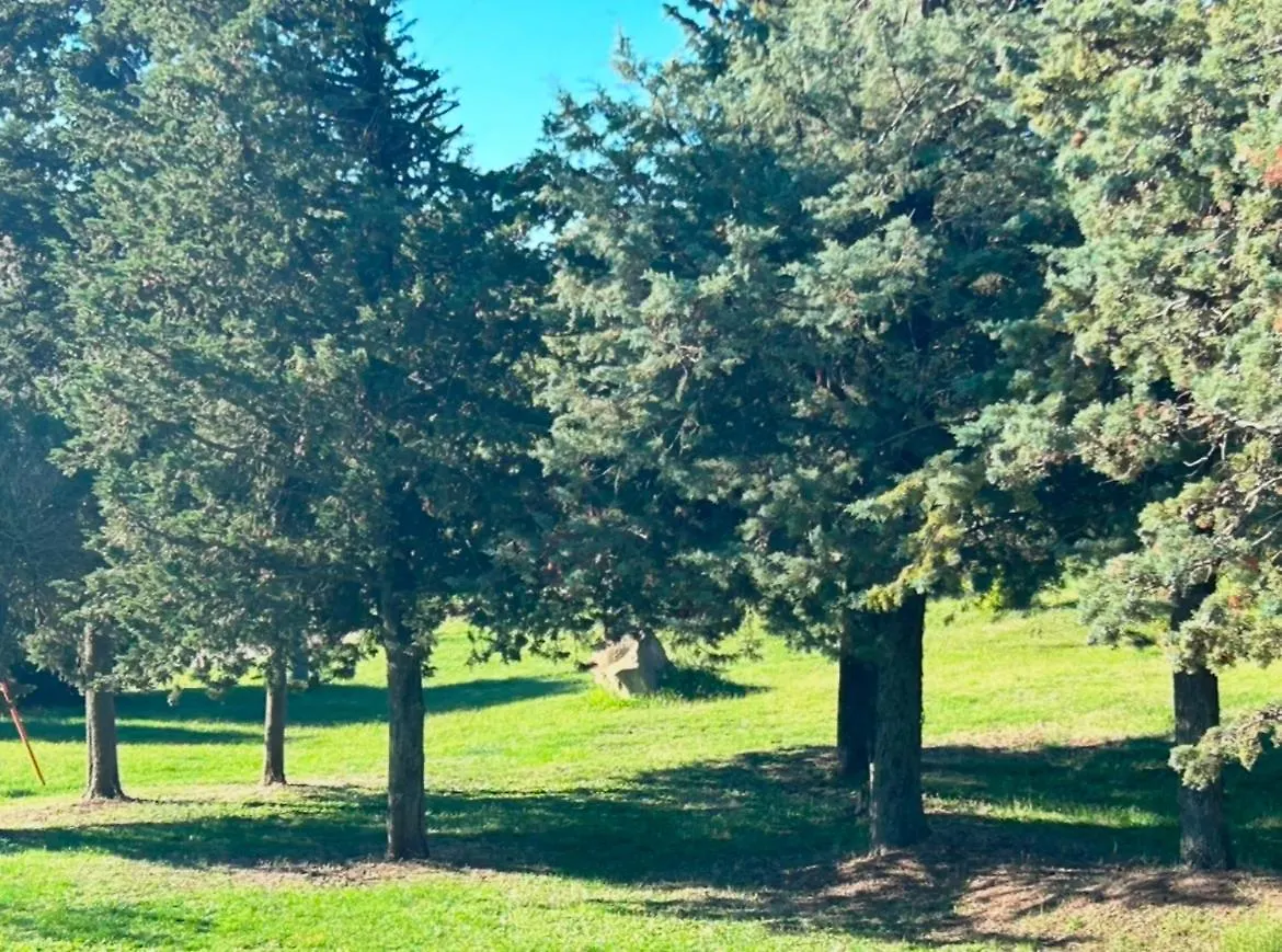 Casale meraviglioso Val d'Orcia con piscina Radicofani Villa